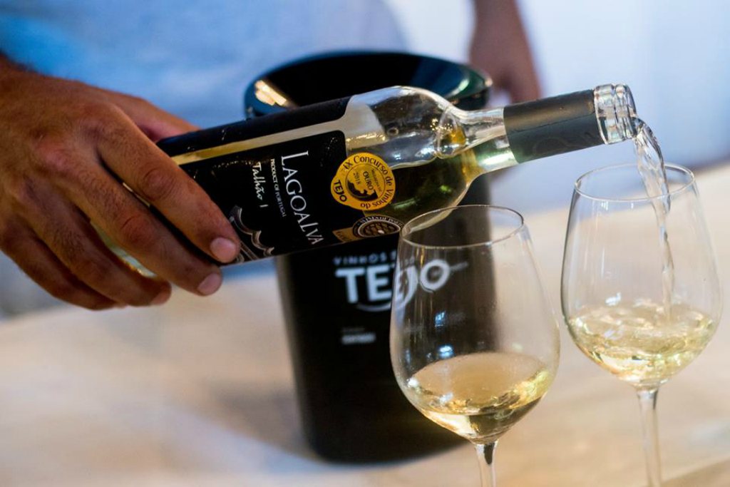 Tejo_a_Copo_2019