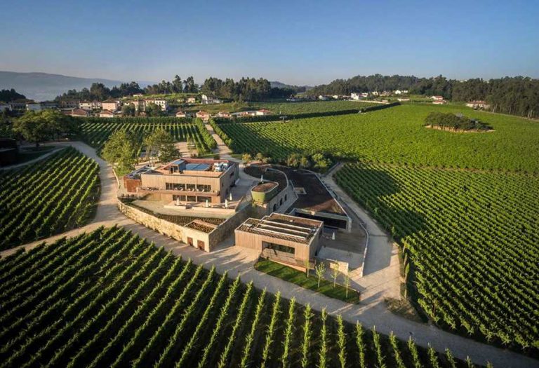 monverde wine academy