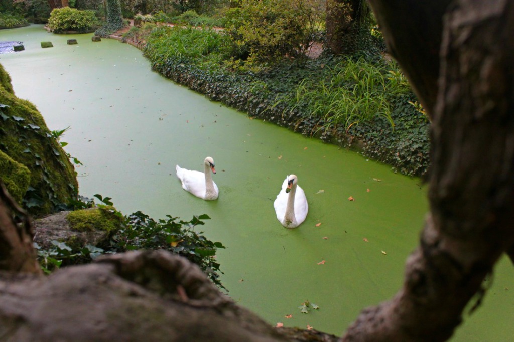 Quinta da Aveleda