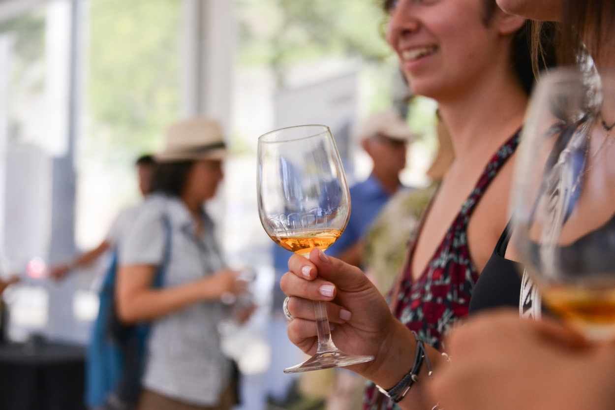 Vinhos a descobrir Wine Market