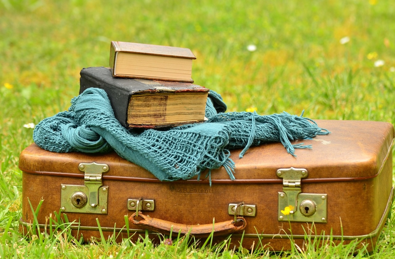 mala e livros